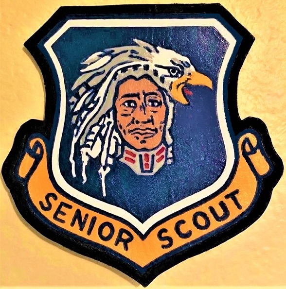 1st 1st 1st Senior Scout.jpg