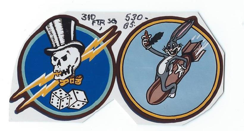 310th Fighter Squadron,& 530th Bombardment Squadron,PB.jpg