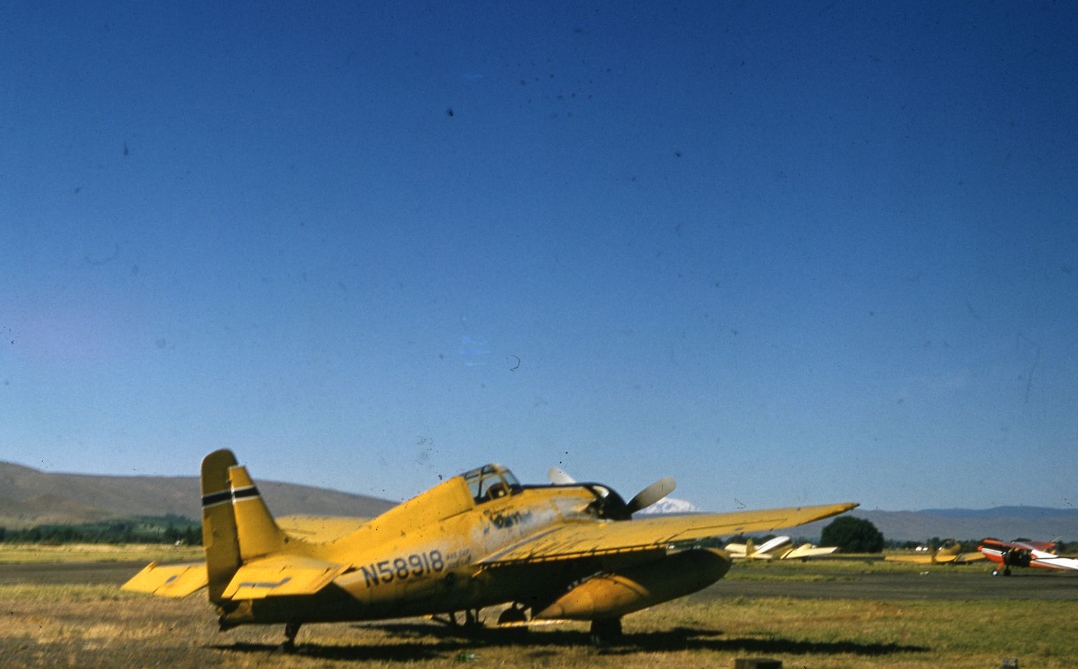 A Grumman F4F Wildcat that's been converted into a spray plane in the 1960s.jpg