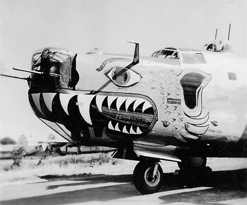 B-24_Bomber_with_Bird_of_Prey_Mouth.jpg