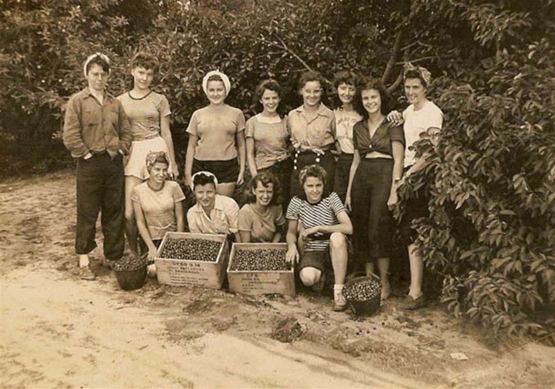 Bag-of-letters-leads-to-online-honor-for-WWII-Land-Girls.jpg