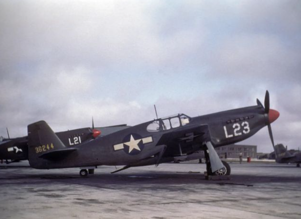 early  p51.png