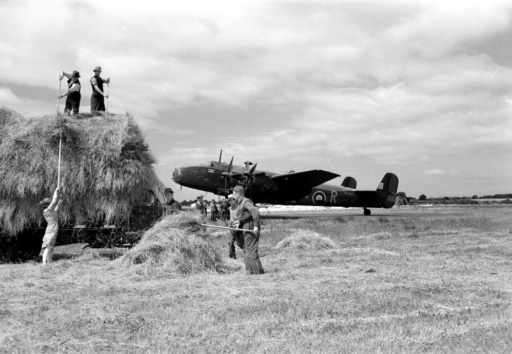 Gathering hay, during WW2, in and around RAF Elvington, Yorkshire. In the background is Halifa...jpg