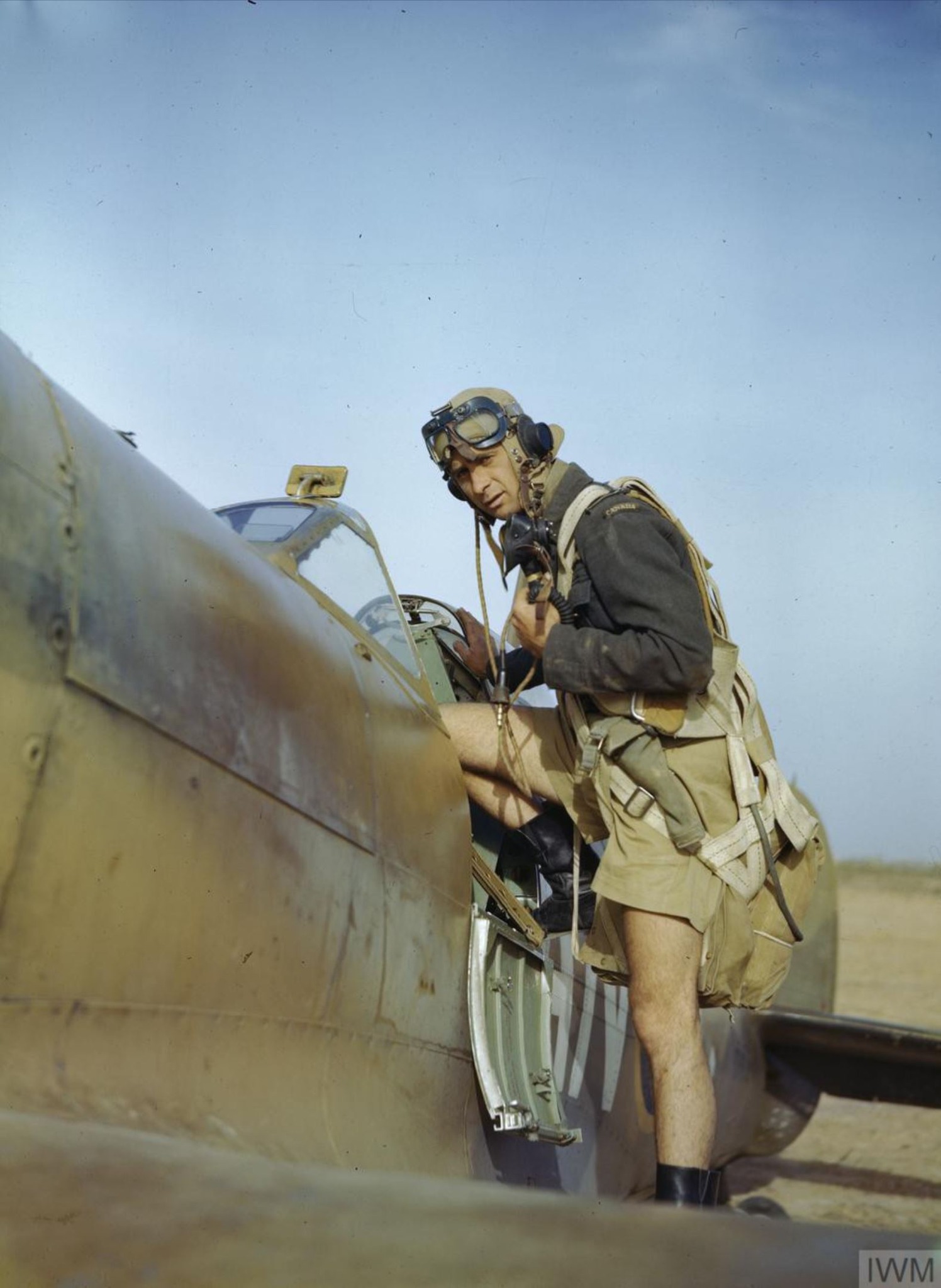 RCAF  pilot tunisia 1943.jpg