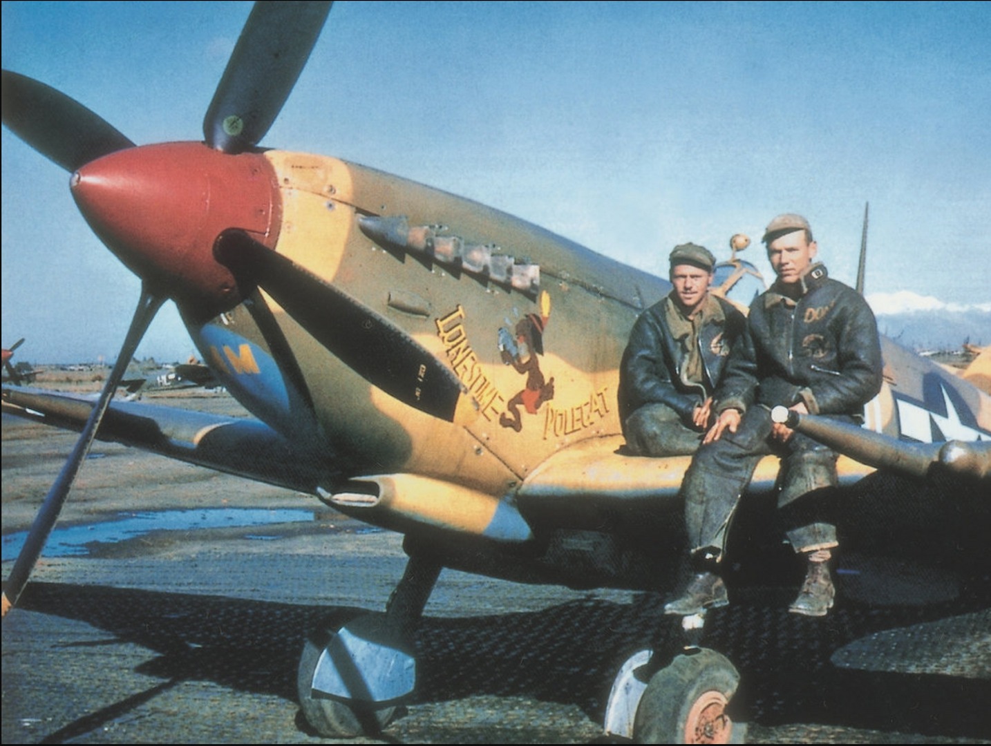 USAAF 31st & 52nd Fighter Groups  SPITFIRE MK9.jpg