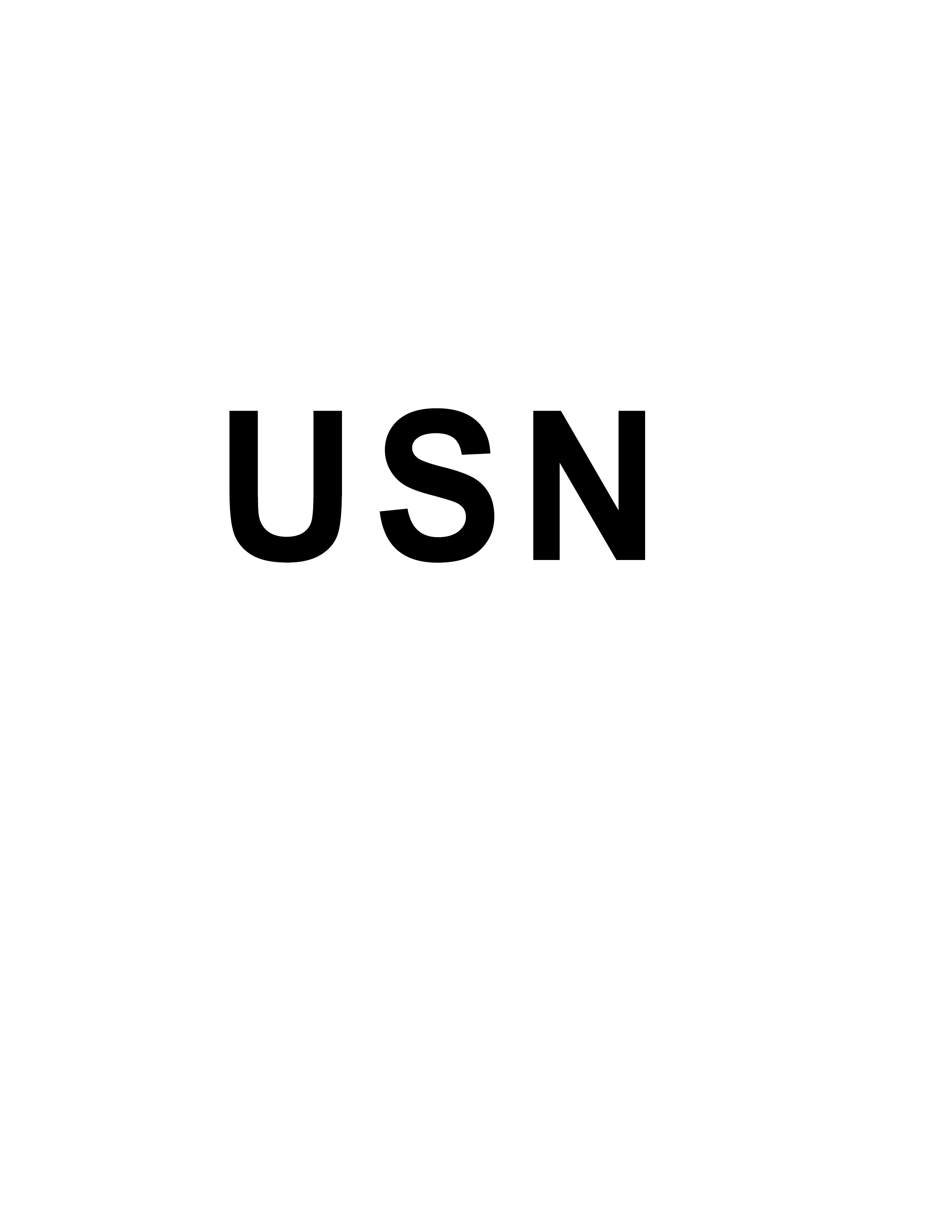 USN Stencil 7.jpg