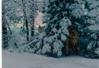 lf  Mort Kunstler   When Snow Does Not Hide Tracks 1.jpg